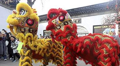 江蘇蘇州：舞獅表演迎新春